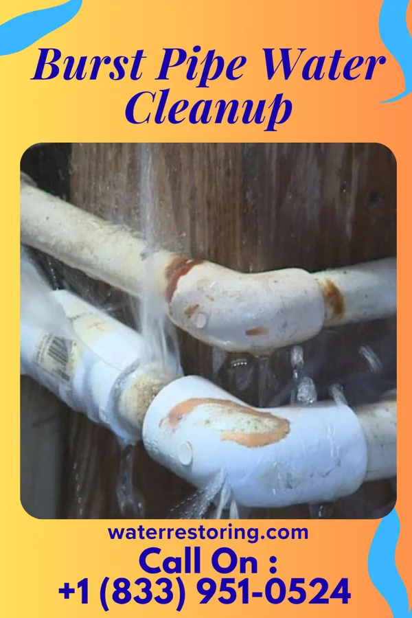 Burst Pipe Water Cleanup in Gold Bar, WA