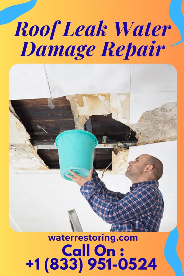 Roof Leak Water Damage Repair in Gold Bar, WA